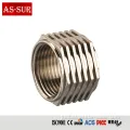 Brass Hose Insert PPR Pipe Fitting Brass Hose Insert PPR Pipe Fitting Supplier